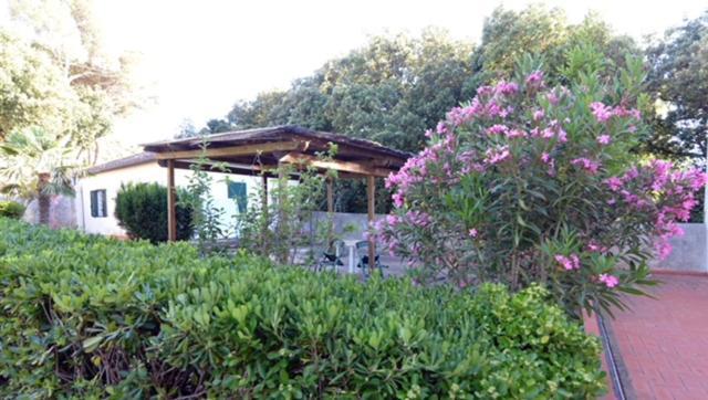 Room In Villa -Livorno - Montenero Exteriér fotografie